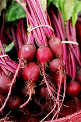 Quentova Vegetable Beet seeds, Organic Beetroot-SWAT Seed(200 per packet)