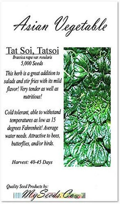 CYBEXIS KGF -20 - Tatsoi Spinach Chinese Mustard - (2250 Seeds) Seed(2250 per packet)