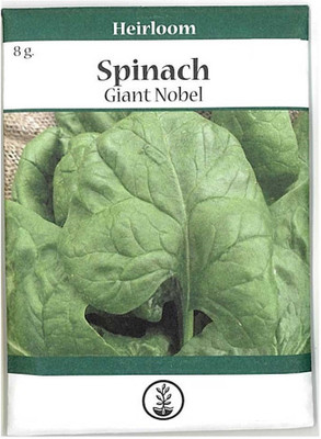 Biosnyg Slow Bolt Garden Spinach Seed-[1000 Seeds] Seed(1000 per packet)