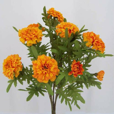 VERTISE African गेंदे का फूल / Organic Flower Orange Seed(500 per packet)