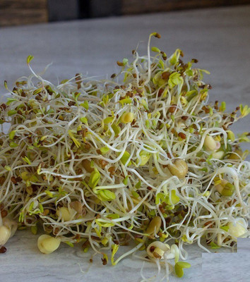 Biosnyg 5 PART SALAD MIX [2000 Seeds] Seed(2000 per packet)