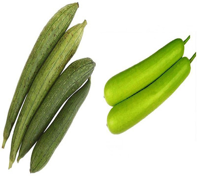 CYBEXIS Combo Bottle Gourd Long & Sponge Gourd Seed(10 g)