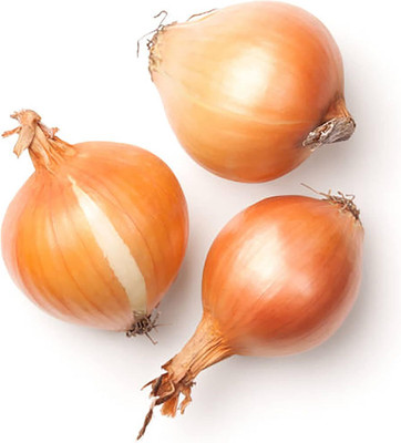Biosnyg Organic Kelsae Sweet Giant Onion Vegetable Seeds For Planting-(750 Seeds) Seed(750 per packet)