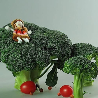 VibeX NBIR-93 - Sunking Broccoli - (150 Seeds) Seed(150 per packet)