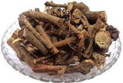 Elysian Enterprises Castor Root - Erandi Mool - Arandi Jadd - Ricinus Communes Seed(50 g)