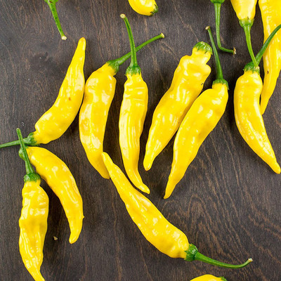 CYBEXIS Fast Germination Yellow Chili Seeds2000 Seeds Seed(2000 per packet)