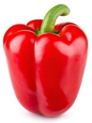 CYBEXIS GUA-83 - CAPSICUM Big Red Chili Pepper - (150 Seeds) Seed(150 per packet)