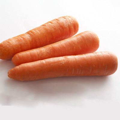 ZIFR Gaajar Orange Carrot Vegetable Seed(1000 per packet)