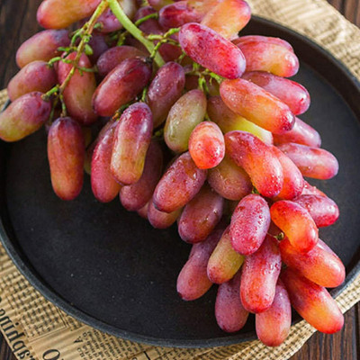 CYBEXIS Grape Seeds Strong Vitality 400 Seeds Seed(400 per packet)