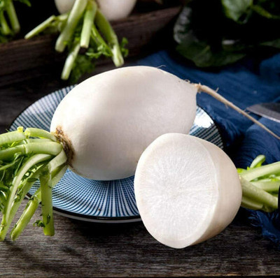 CYBEXIS White Radish Seeds Heirloom Vegetable Seeds2400 Seeds Seed(2400 per packet)