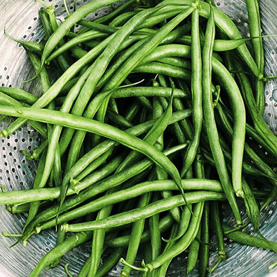 BDSresolve green beans seeds Seed(42 per packet)