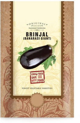 CYBEXIS PAU-28 - Brinjal Banarasi Giant Vegetable - (450 Seeds) Seed(450 per packet)