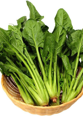 CYBEXIS Multi-cut Hybrid Spinach Seeds2000 Seeds Seed(2000 per packet)