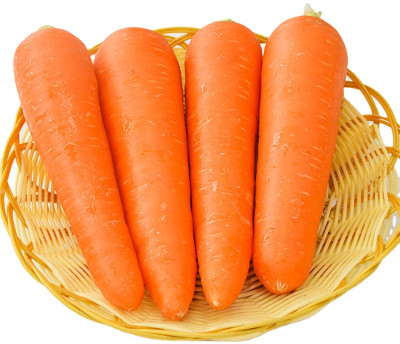 VINSIN Orange Gajar Carrot Vegetable Seed(200 per packet)