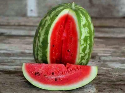 ActrovaX NS 295 Big Oblong 6-8 Kg Fruit Hybrid Watermelon [200 Seeds] Seed(200 per packet)