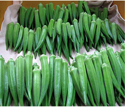 KNESSiN Green Okra Seed(200 per packet)