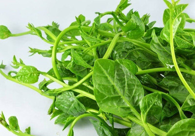 BDSresolve VINE SPINACH seeds/Spinach seeds 116 Seed(116 per packet)