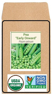 CYBEXIS Hybrid Seeds-Peas Early Onwards400 Seeds Seed(400 per packet)