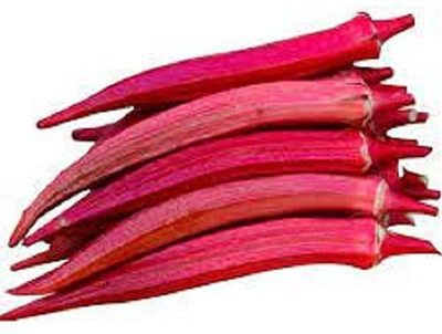 KANAYA Red Bhindi Seed(70 per packet)