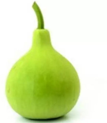 MAA Bottle Gourd round, Kaddu, Lauki Seed(90 per packet)