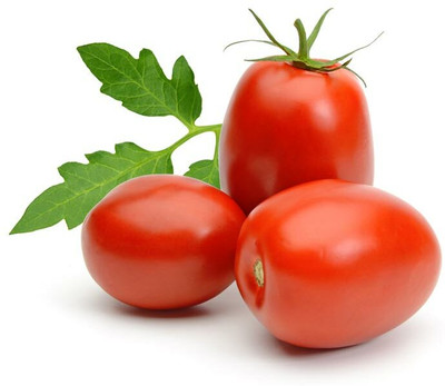 VRAKSHA Best quality Tomato Seed(800 per packet)