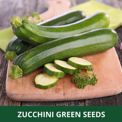 VibeX ® XXL-614 ZUCCHINI -GREEN -SUMMER SQUASH Seed(100 per packet)