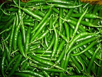 Seedshub Fresh Chilly (Mirchi) Green Vegetable Seed(100 per packet)