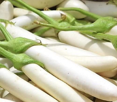 MAA Brinjal white Long, Eggplant Seed(11 per packet)