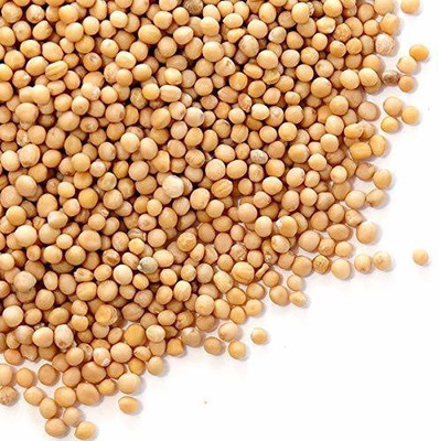 VibeX PAU-45 - Yellow Mustard - (250 Seeds) Seed(250 per packet)