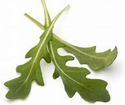 WILLVINE Salad Rocket Arugula Seeds Green Vegetable Easy to Grow-[2500 Seeds] Seed(2500 per packet)