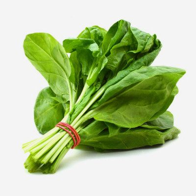 GROWNX Matador Spinach seeds Seed(300 per packet)