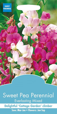 CYBEXIS SWEET PEA Seed(1 g)