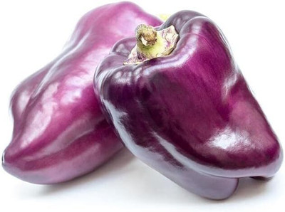 Biosnyg Easy to Grow Lilac Capsicum Seeds for Terrace Gardening-(50 Seeds) Seed(50 per packet)