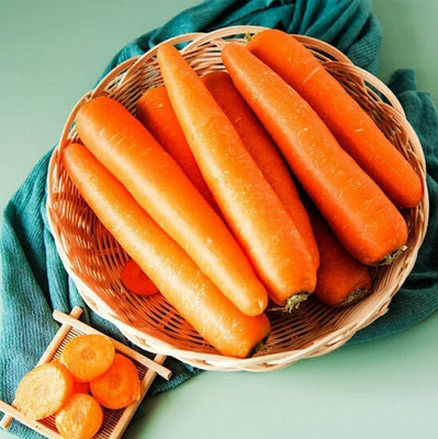 CYBEXIS Carrot Seeds Main Crops Self-Growing4000 Seeds Seed(4000 per packet)