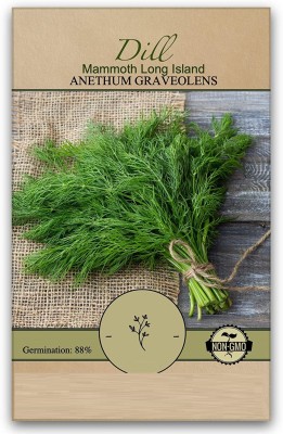 VibeX ATS-50 - Dill Teddy (Yellow) - (750 Seeds) Seed(750 per packet)