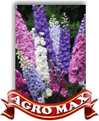 Farmers Choice LARKSPUR SPECIAL MIX Seed(60 per packet)