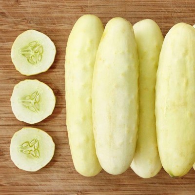 WHYGI SILVER SLICER CUCUMBER SEED-CuC_1910 Seed(1000 per packet)