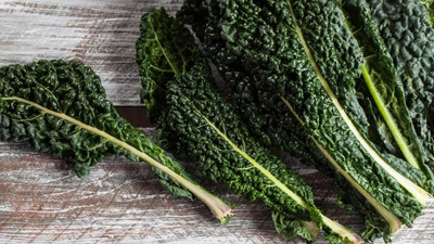 WILLVINE PUAS -XII Lacinato Kale Seeds - Non-GMO Seeds [2.5g] Seed(750 per packet)