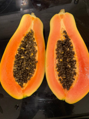 Quentova Papaya Seeds-AJ-7Q Seed(50 per packet)