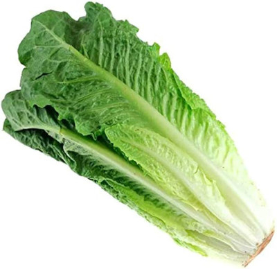 Dbbrothers Lettuce Seeds Pack of 25 Seed(25 per packet)