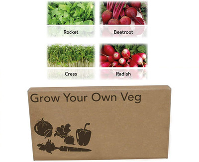 CYBEXIS 4 Varities Heirloom Seed Varieties Included in This Seed(10 g)
