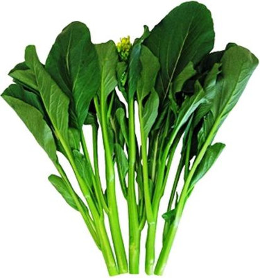 CYBEXIS ‘Suiho’Chinese Broccoli (Gai-lon)500 Seeds Seed(500 per packet)