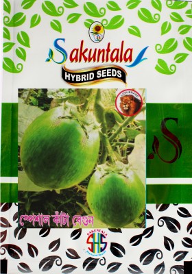 Sakuntala Hybrid Seeds Kanta Begun Seeds Kanta Brinjal Seeds Special Kanta Begun Seeds Egg Plant Green Seed(175 per packet)