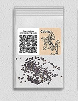 WILLVINE Organic F1 Hybrid Catnip-5000 Seeds Seed(5000 per packet)