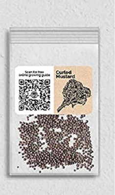 CYBEXIS VXI-36 - Curled Mustard - (150 Seeds) Seed(150 per packet)