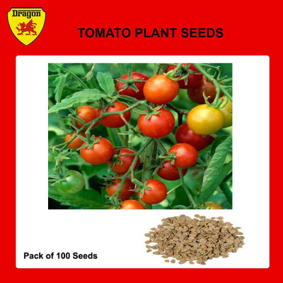 Cloud Farm Tomato Seed(1 per packet)