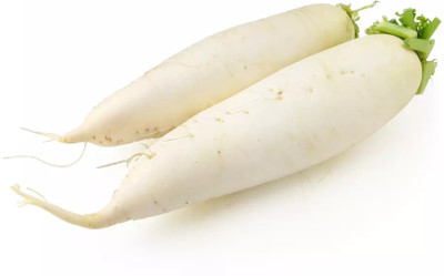 VINTI White radish high quality Seed(2000 per packet)