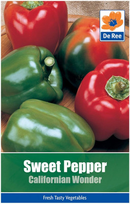 KNESSiN Capsicum Californian Wonder Seed(50 per packet)