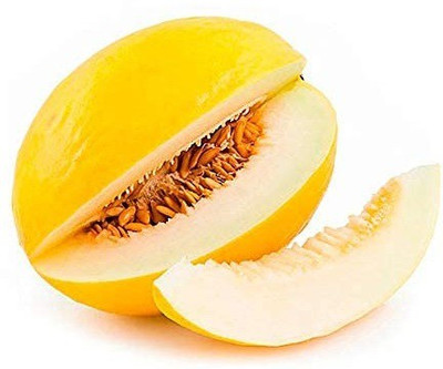 CYBEXIS NBIR-76 - Yellow MelonCantaloupe Muskmelon Kharbuja - (150 Seeds) Seed(150 per packet)