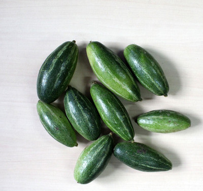 Seedsqlty Pointed gourd seeds hybrid Seed(20 per packet)